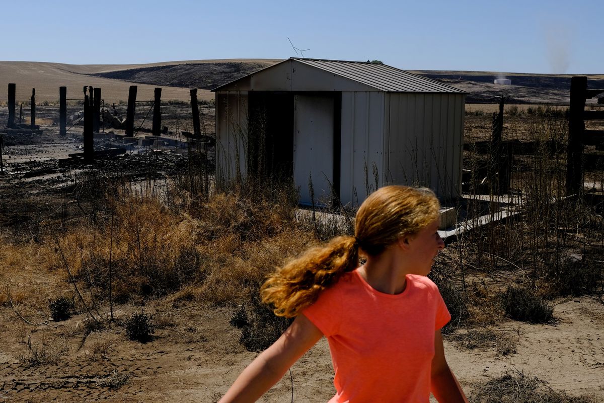 Taylor Hofer, 11, stands in front of her family’s destroyed chicken coop and storage shed on Friday, which were claimed by the Lind Fire on Thursday afternoon in Lind, Wash.  (Tyler Tjomsland/The Spokesman-Review)