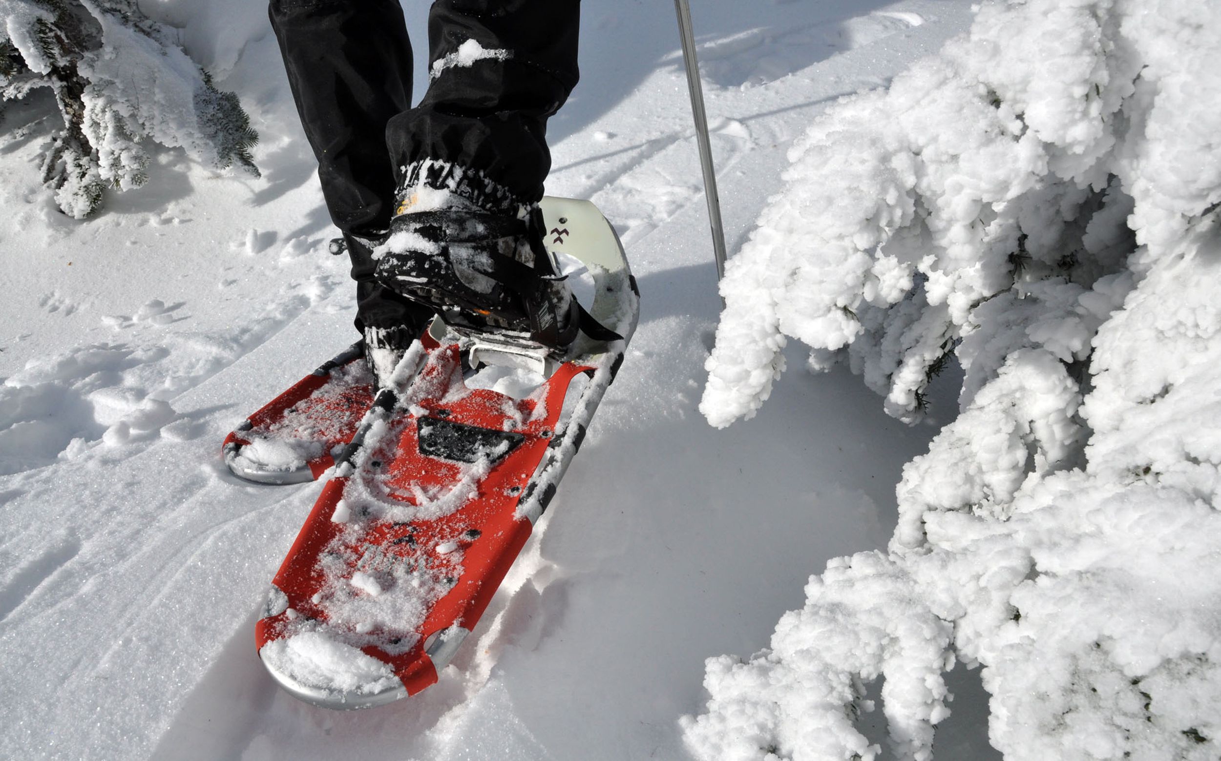 Tips for buying modern snowshoes The SpokesmanReview