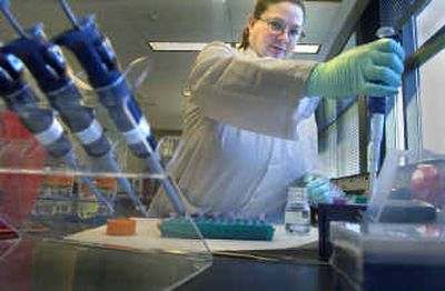
Denise Olson, forensic scientist for the Washington State Crime Laboratory, works on a DNA sample in the new lab on the EWU campus in Cheney. 
 (Christopher Anderson/ / The Spokesman-Review)
