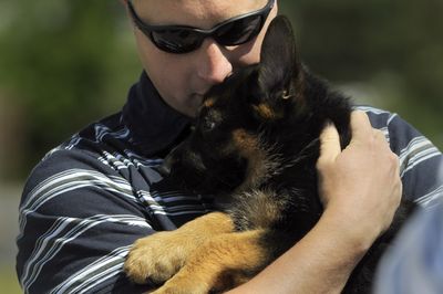 Officer Jay Kernkamp nuzzles his new houseguest, 2-month-old Ajax, on Wednesday at the Spokane Police Academy. Kernkamp is raising Ajax until the puppy is ready for official training as a police dog.  (Jesse Tinsley / The Spokesman-Review)