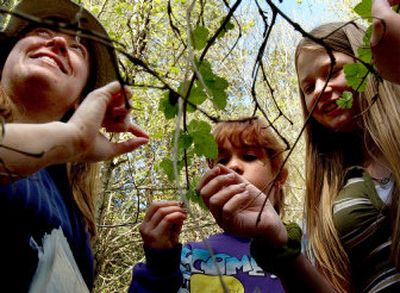
Coeur d'Alene tribal fisheries biologist Stephanie Hallock, left, talks with Kayla Nelson, center,  and Miranda Griggs of Harrison Elementary School on Tuesday about the functions of a wetland system and how it plays a role in the health of lakes and streams. 
 (Kathy Plonka / The Spokesman-Review)