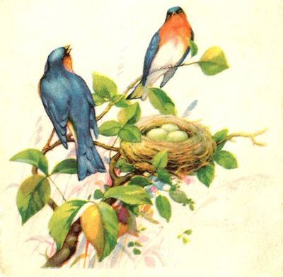 
The demolition of an older house left many neighbors sad but some were also hopeful about the property’s next adventure.  (Image provided by Cheryl-Anne Millsap)