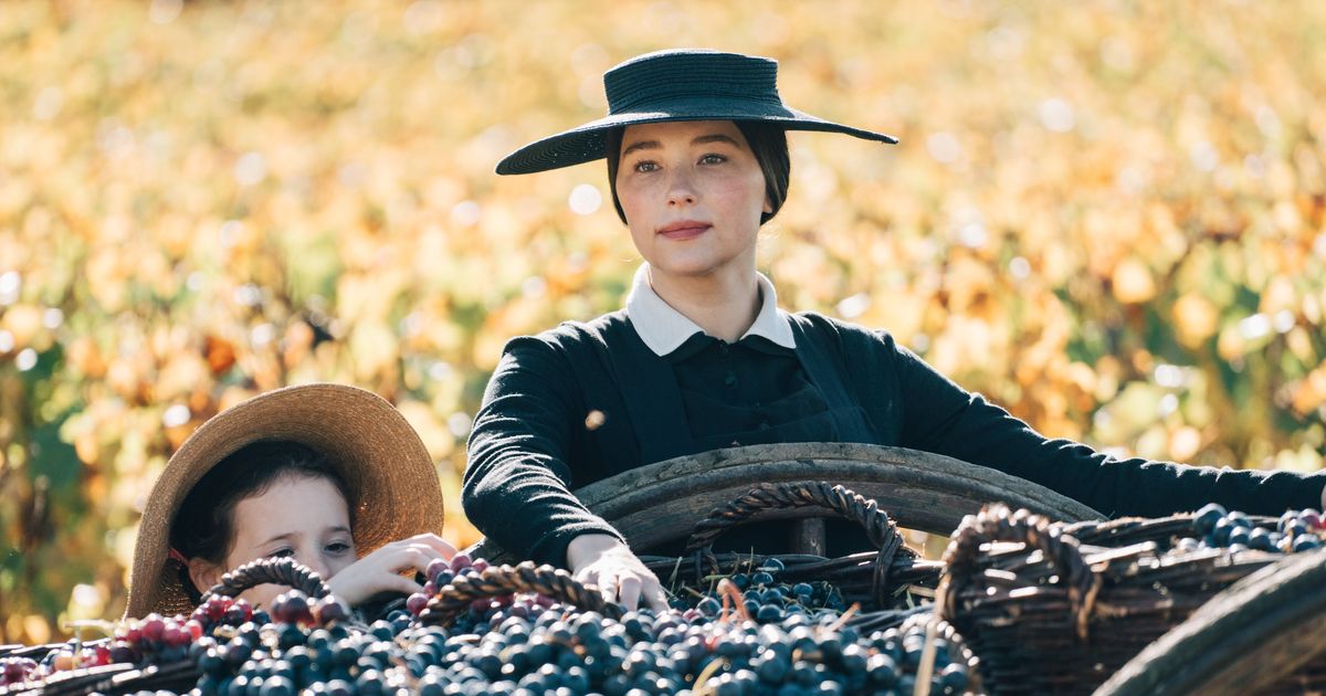 The five best films about wine