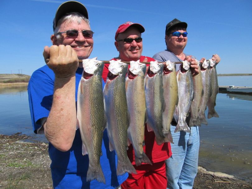 Tom Shellenberger, Mike Barnett and Mike Shellenberger display their catch of nice rainbow trout caught trolling plugs on Sunday, April 22, at Sprague Lake.  (Scott Haugen / Four Seasons Campground)