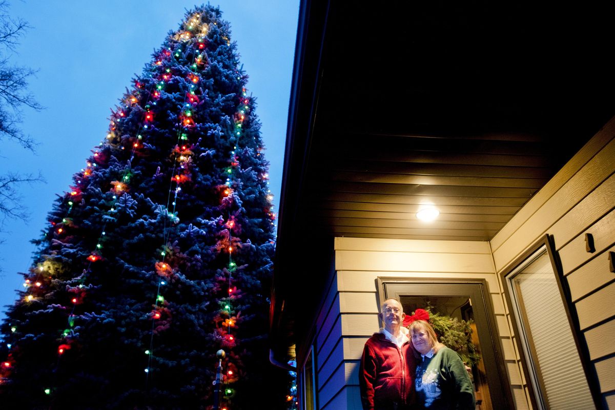 Seattle Seahawks Christmas Pine Tree All Over Printed Xmas