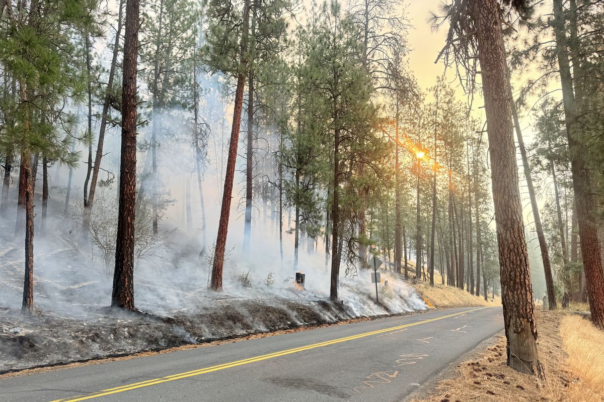Land and trails lining Rutter Parkway near the Little Spokane River burn from the Autumn Lane fire.   (Alex Duggan/The Spokesman-Review)