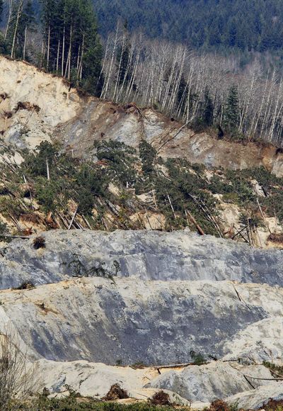 Rescue and recovery crews work at the site of the fatal mudslide near Oso on April 1, 2014. (Mark Mulligan / Daily Herald)