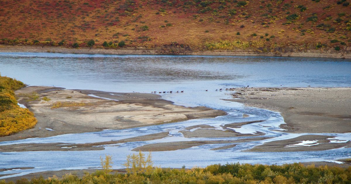 Francovich: Kayaking in the ‘big wilderness’ of far north Alaska will provide a glimpse of what was