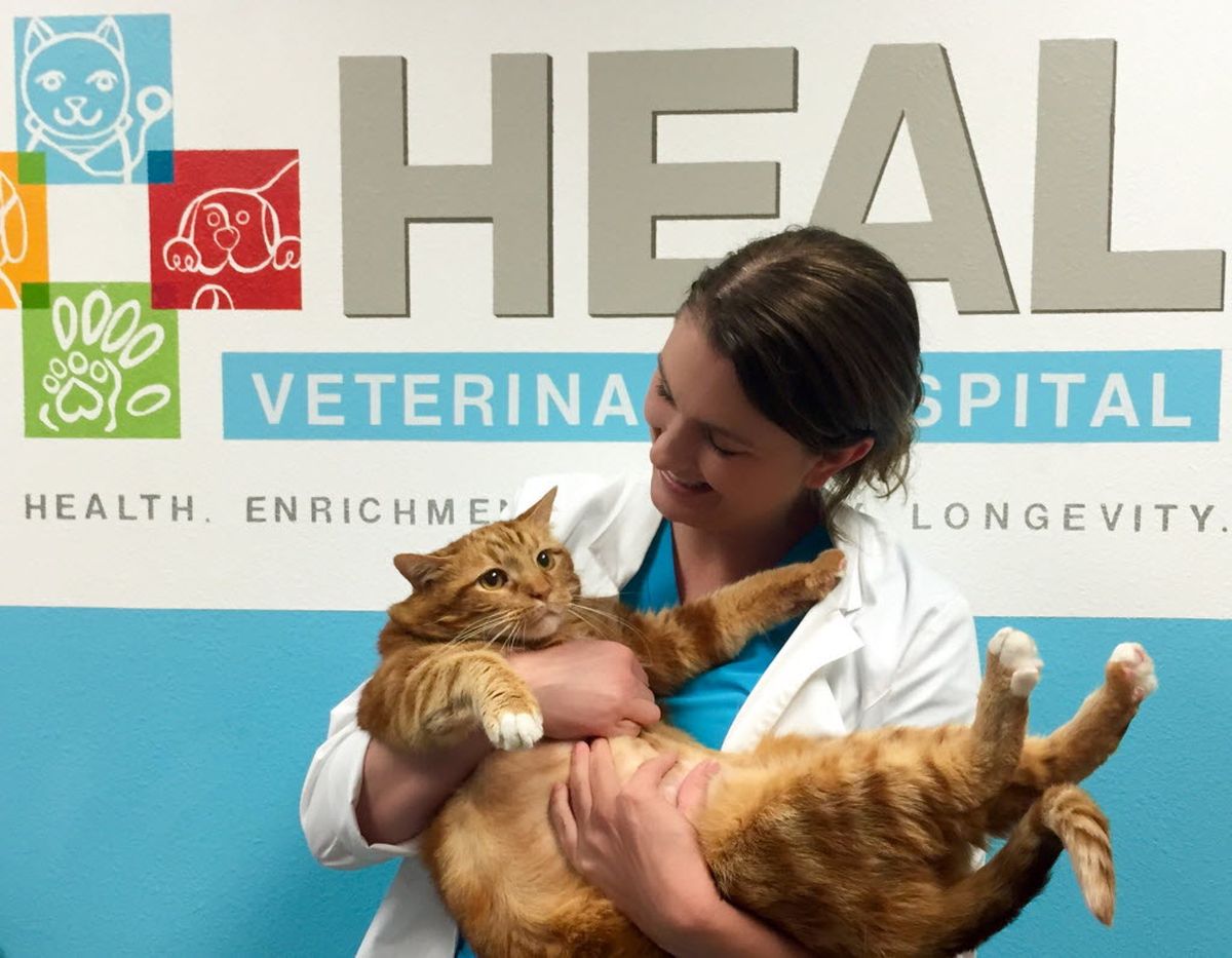  (Jana Hipp / HEAL Veterinary Hospital & Pet Rehabilitation)