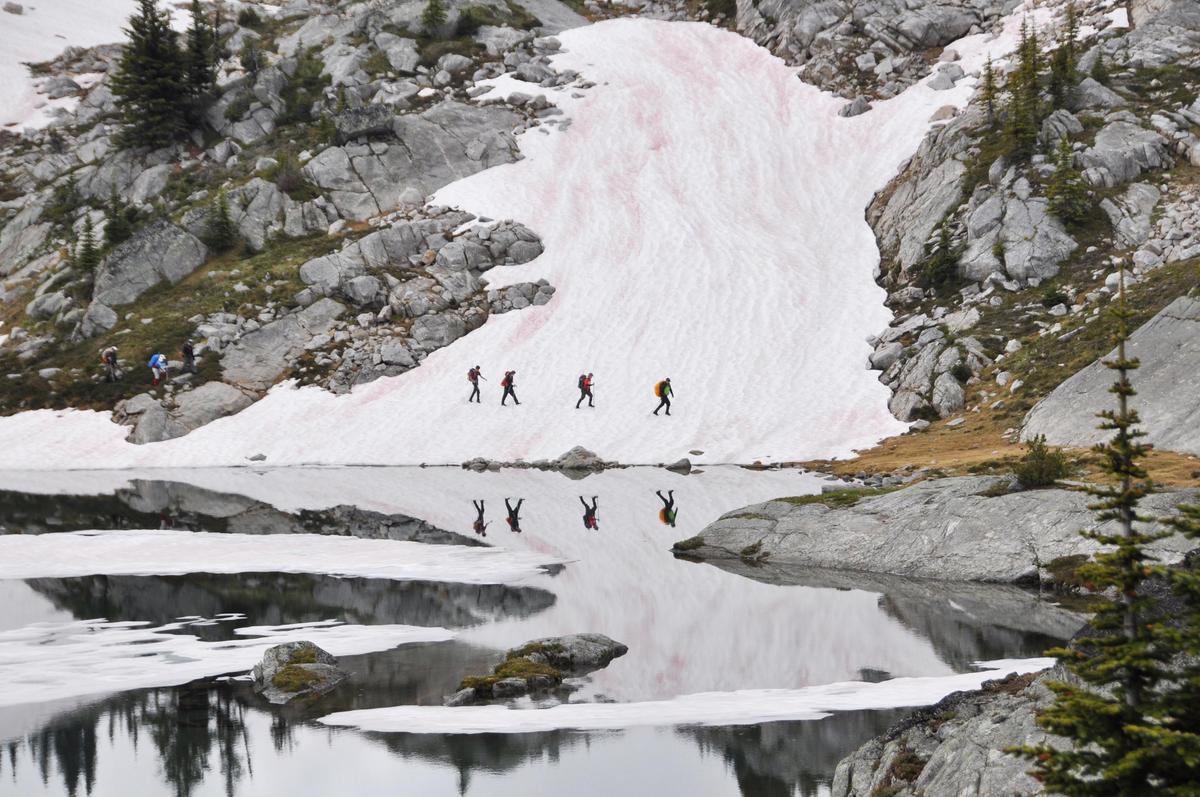 Hikers Live It Up At Kokanee Glacier Provincial Park The Spokesman Review
