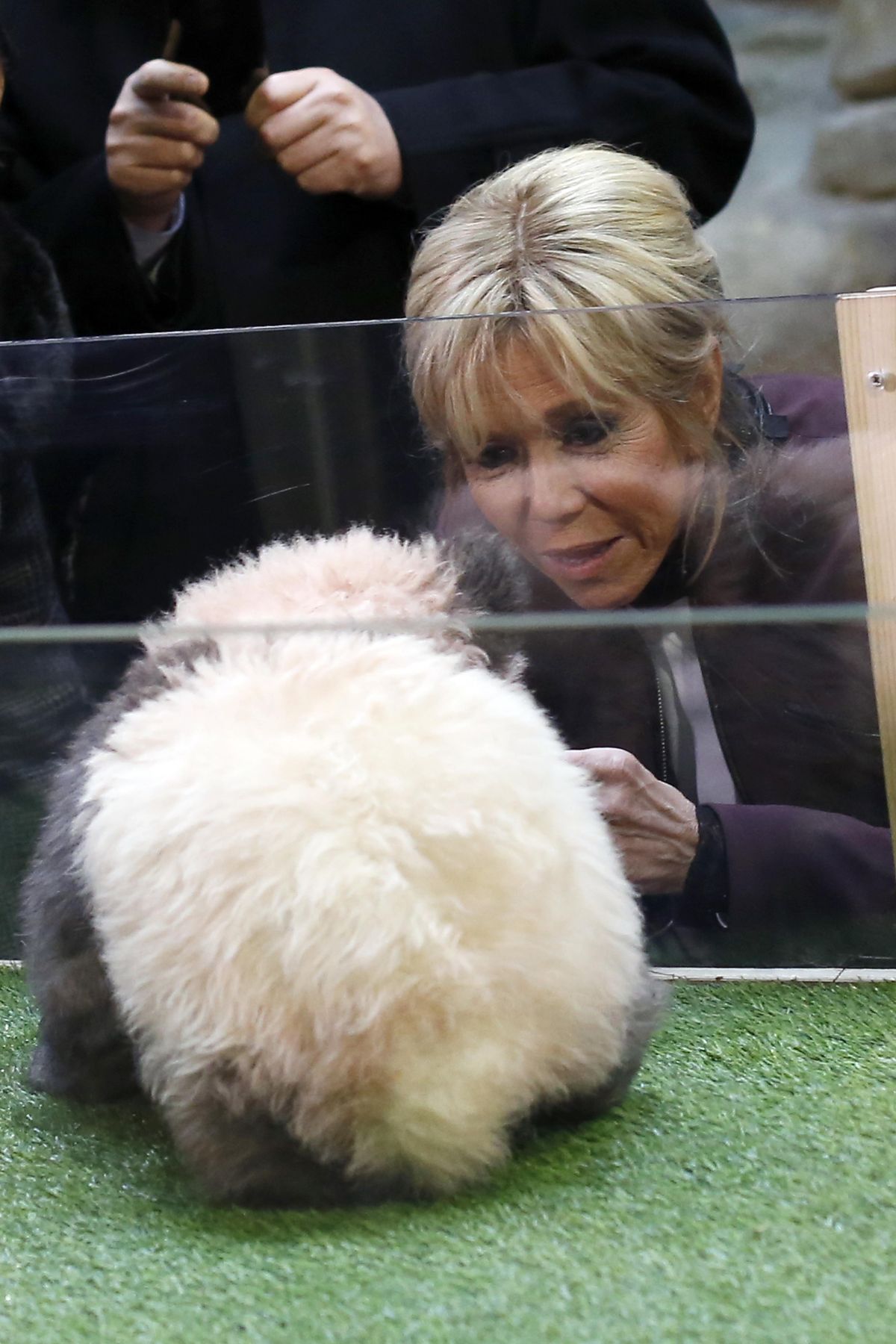 French First lady Brigitte Macron attends a naming ceremony of the panda born at the Beauval Zoo in Saint-Aignan-sur-Cher, France, Monday, Dec. 4, 2017. (Thibault Camus / Associated Press)