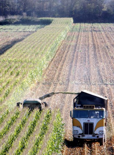 In this 2005 photo, a harvester works through a field of Bt corn near Santa Rosa, Calif. (Associated Press)