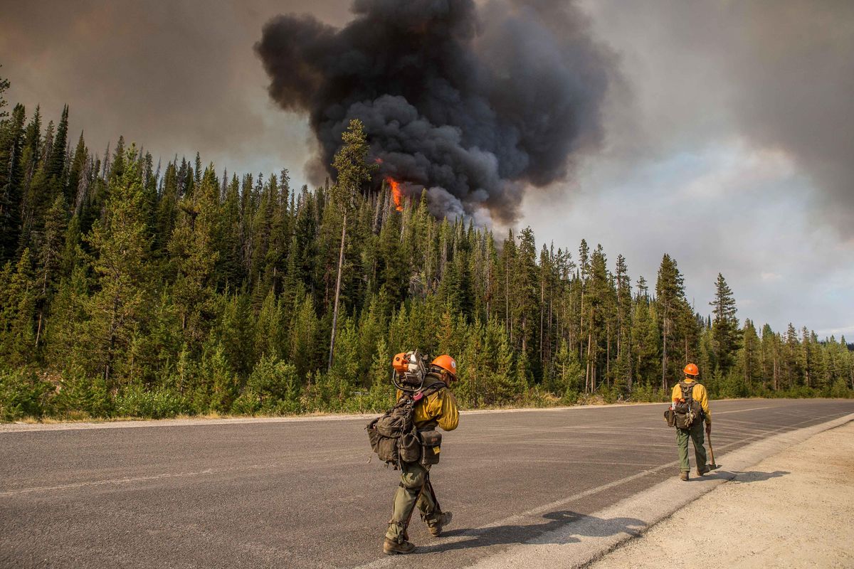 FILE - In this Wednesday, Aug. 7, 2019, file photo released by the U.S. Forest Service smoke from the Nethker Fire billows into the air at Payette National Forest near McCall, Idaho. A giant Idaho forest project favored by some environmental groups but decried by others is on hold again following a federal court ruling. The decision Tuesday, Aug. 11, 2020, halts for the second time a 125-square-mile project on the Payette National Forest that includes commercial timber sales, work to improve fish passage, prescribed burning, the closing of some roads and restoration of Ponderosa pine ecosystems.  (HOGP)