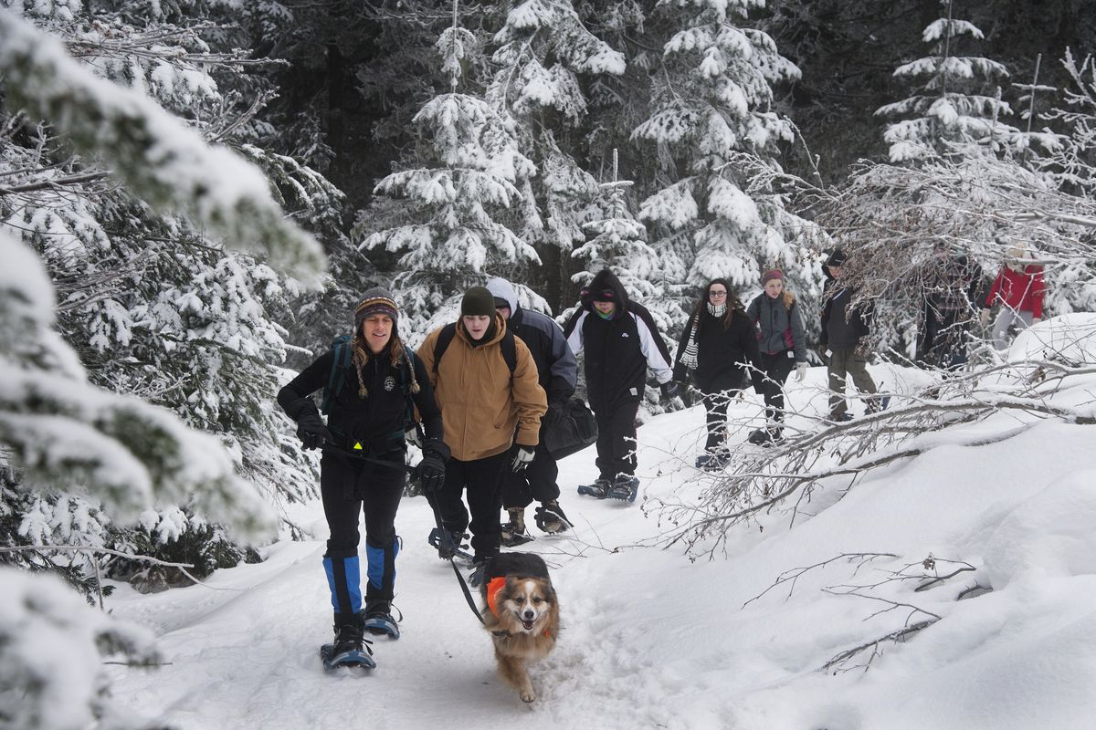 Kat Hall, conservation program director for the Lands Council, leads a group of students from the Community School up a snowshoe trail, Jan. 15 on Mount Spokane. (Dan Pelle)