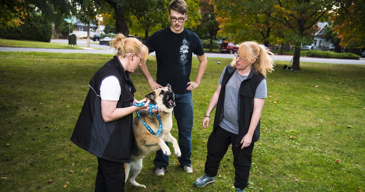 Local dog business focuses on positive reinforcement, training in pet’s