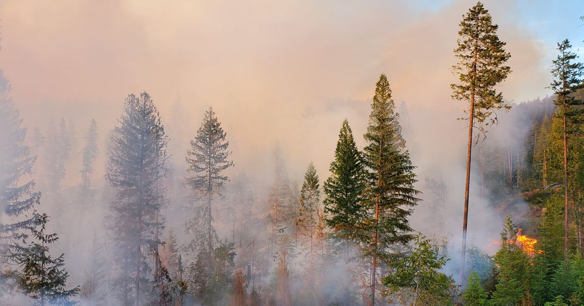 Little Pine Fire In Idaho Partially Contained But Governor Worries About Staffing For Future 1869