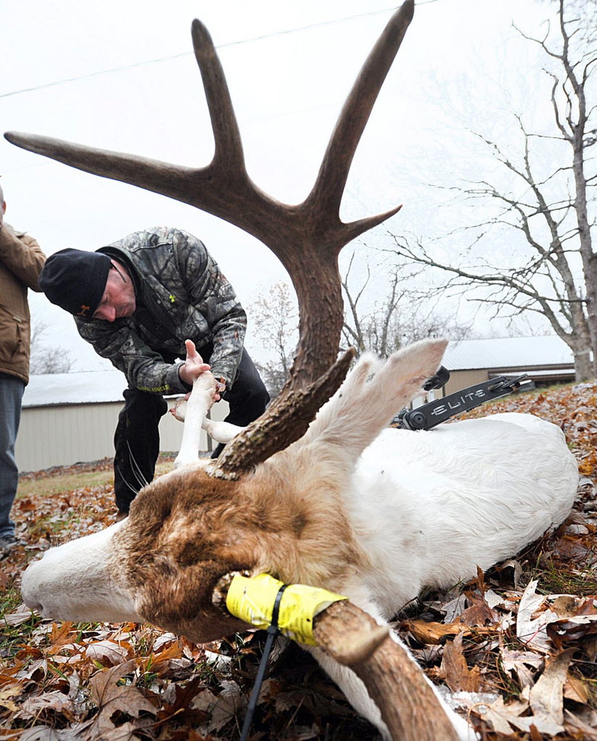 Bowhunter Jerry Kinnaman legally killed this white buck during a hunting season in Missouri. He