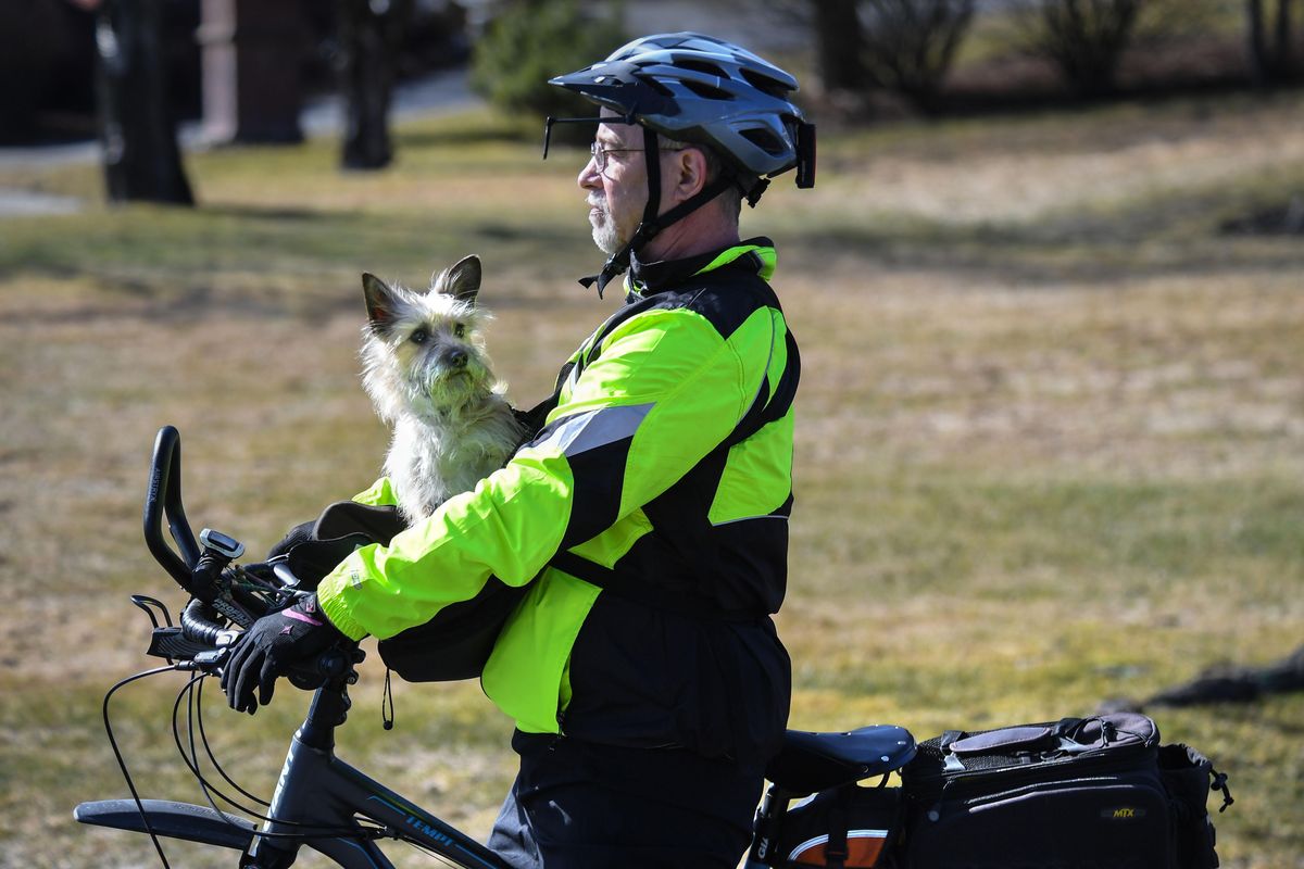 Russ Peters, Spokane Bicycle Club board member, pauses on 37th Avenue at High Drive with his dog, Ginger, Thursday, March 21, 2019, in Spokane, Wash. It was the first time Peters had taken his rescued dog for a ride on the bike. (Dan Pelle / The Spokesman-Review)
