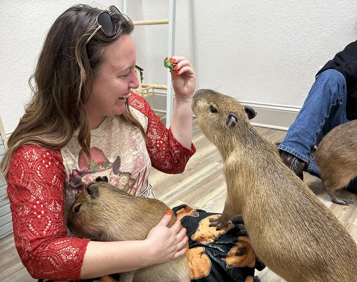 Brigid Gibson hangs out with capybaras at the Capybara Café in December in St. Augustine, Fla. 