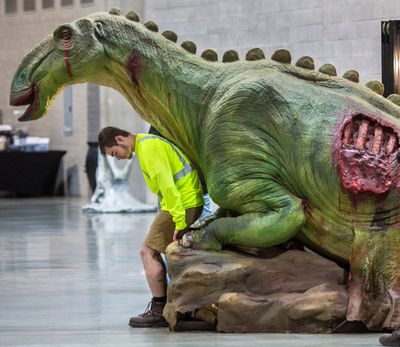 David Pike lifts an Edmontosaurus into position on his forklift as the Jurassic Quest exhibit takes shape Sept. 21, 2017, at the Spokane Convention Center.  (Dan Pelle/The Spokesman-Review)