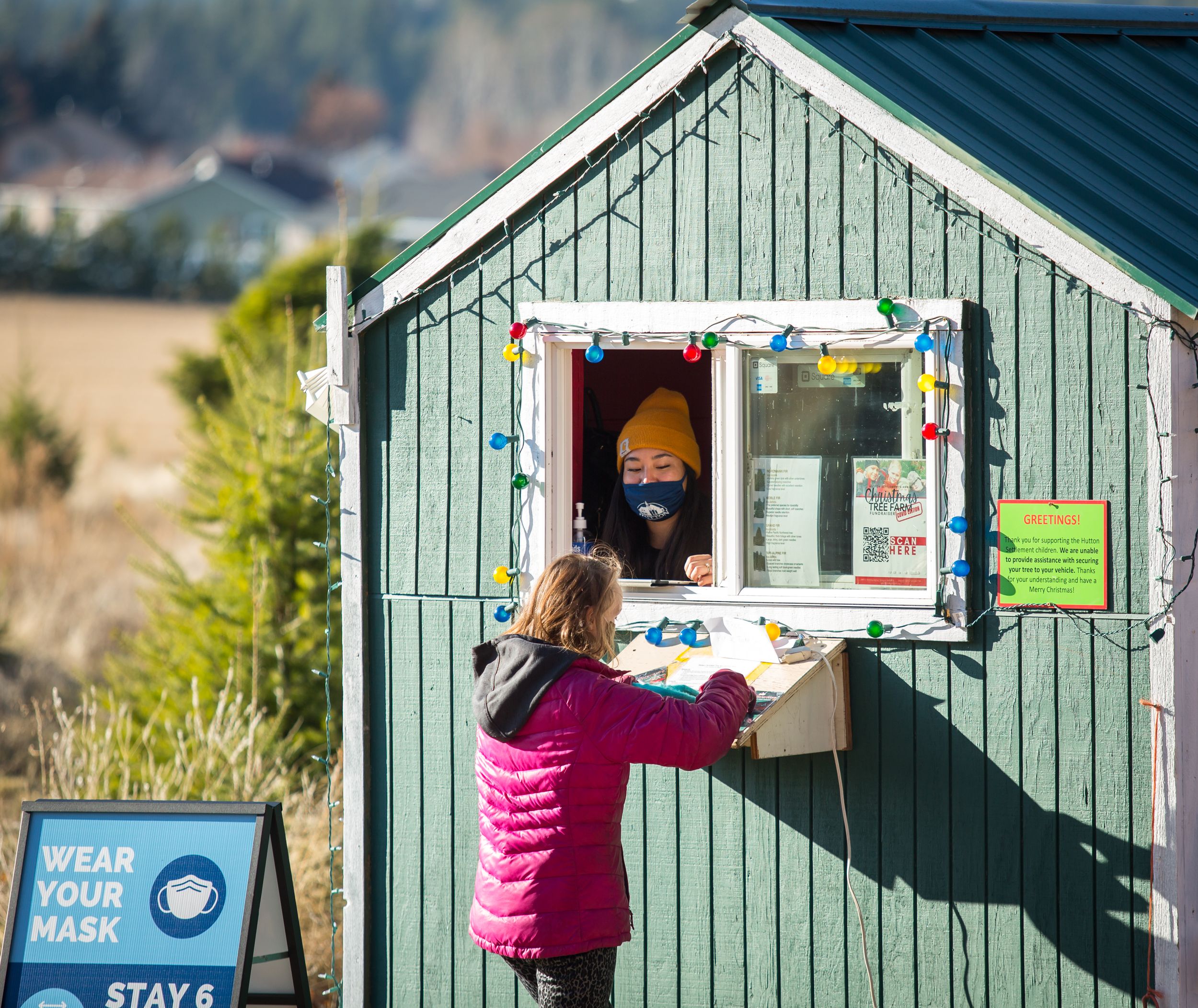 Hutton Settlement Christmas Trees 2022 Hutton Settlement Christmas Tree Farm's First Weekend Of The Season Brings  Record-Breaking Sales | The Spokesman-Review