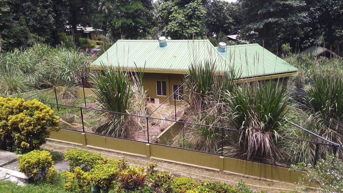 This 2019 photo provided by the Durrell Wildlife Conservation Trust shows the Basistha Center in Basistha, Assam, India. After authorities confirmed a swine fever outbreak reached India on May 18, 2020, scientists virtually locked down breeding centers and adopted strict precautions, said Parag Deka, who heads the Pygmy Hog Conservation Program run jointly by Indian authorities, U.K.-based Durrell Wildlife Conservation Trust and local nonprofit Aaranyak. “It is very scary,” Deka said. “It can wipe out the whole population.”  (Parag Deka)
