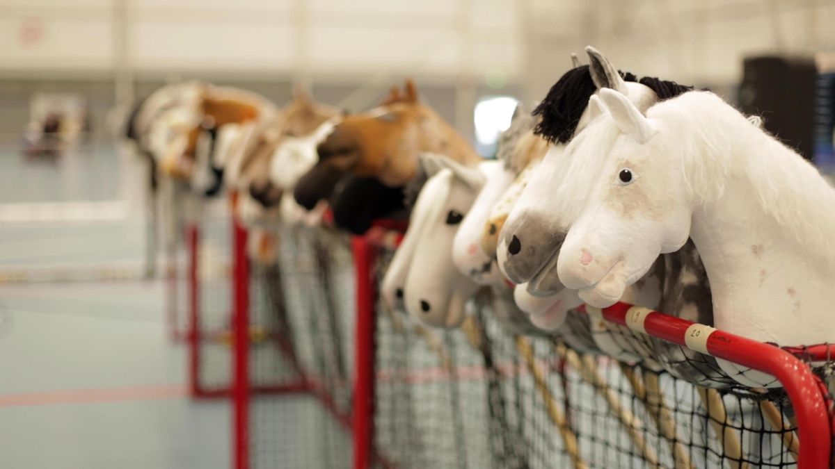 Dozens of hobby horses are lined up ready to be ridden during the 8th Hobby Horse championships in Seinajoki, Finland on Saturday. (APTN VIDEO / Associated Press photos)