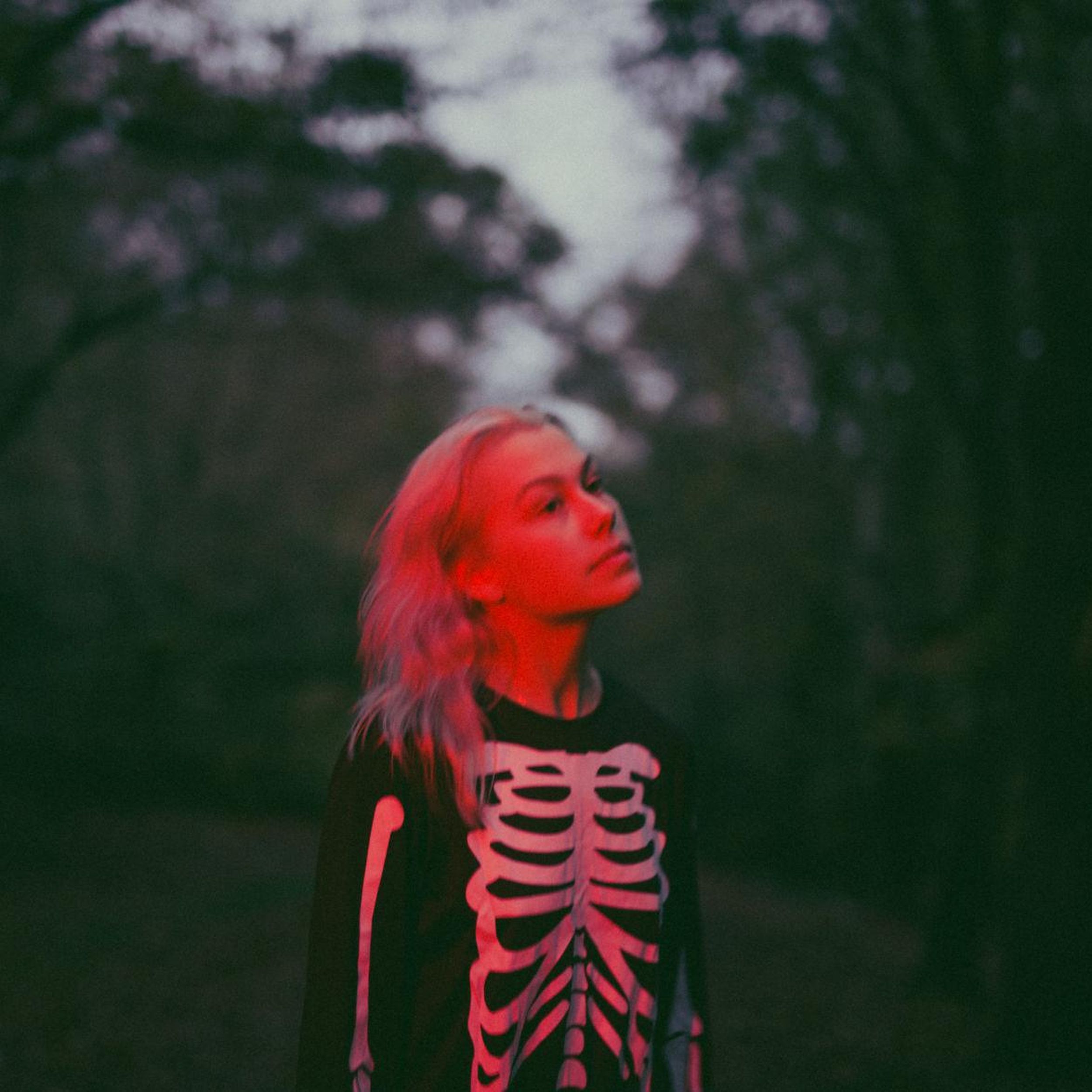 Phoebe Bridgers - Punisher: lyrics and songs