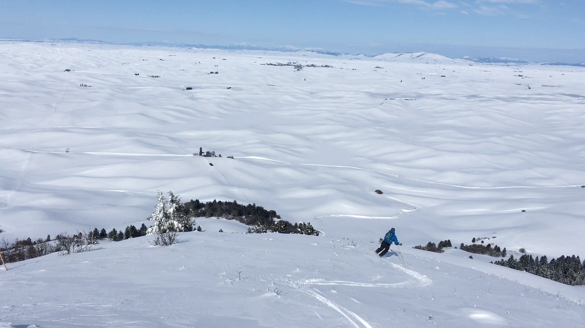Mike Brede skis down Steptoe Butte on Feb. 26, 2019. The hill is about 1000 vertical feet from the day use area to the summit. (COURTESY / COURTESY)