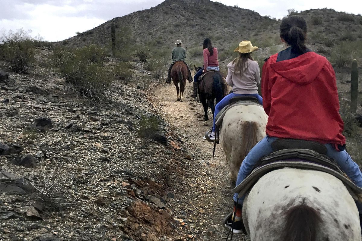 Riders wend their way along a trail through Estrella Mountain Regional Park. (Sue Campbell / TNS)