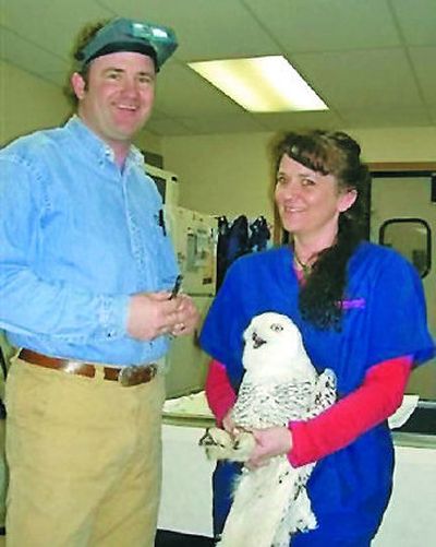 
Dr. Kevin Rogers, left, and Jennifer Syth, at Kootenai Animal Hospital, provide vet care for the birds at Birds of Prey Northwest. 
 (Photo Courtesy of Birds of Prey / The Spokesman-Review)