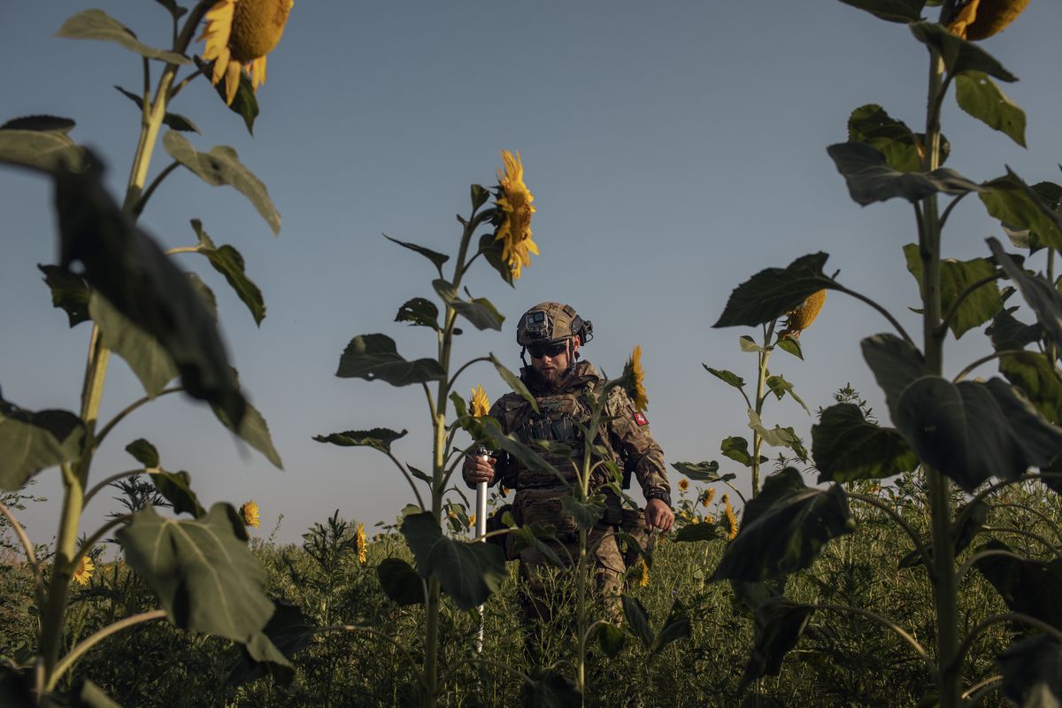 A member of the drone unit searches for a place to set up an antenna to launch a drone near the front line, near the southern front line in Ukraine, on Aug. 7, 2023. Ukrainian volunteers, many of them entrepreneurs and computer and technology professionals, were quick to exploit the use of cheap, commercial drones in the first months of the war.    (Diego Ibarra Sánchez/The New York Times)