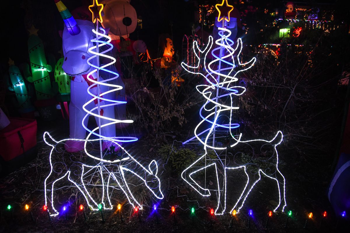 Chris Sheppard has lighted grazing reindeer as part of her Christmas display at 1722 S. Bettman Road in Spokane Valley.  (Dan Pelle/THESPOKESMAN-REVIEW)