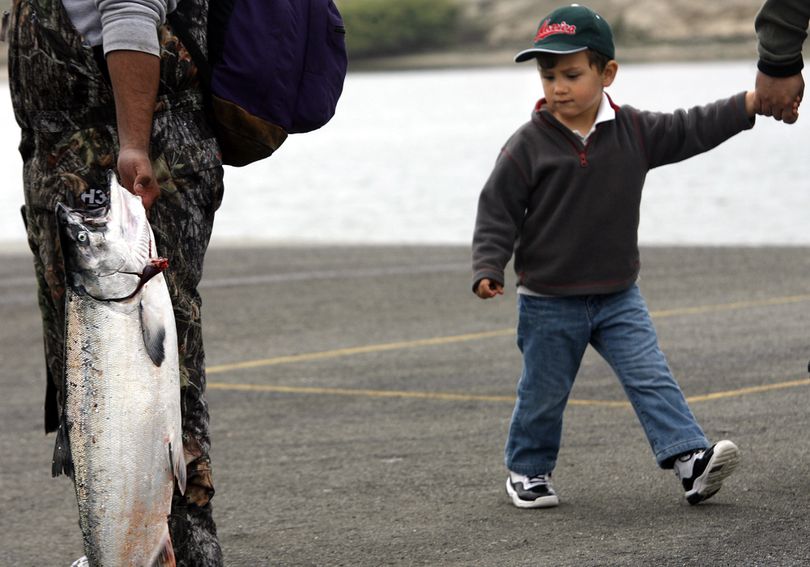 David Torres, 3, checks out salmon as he walks past fisherman as the first day of recreational salmon fishing opens, Saturday, April 3, 2010 in Moss Landing, Calif. (Orville Myers / The Monterey County Herald)