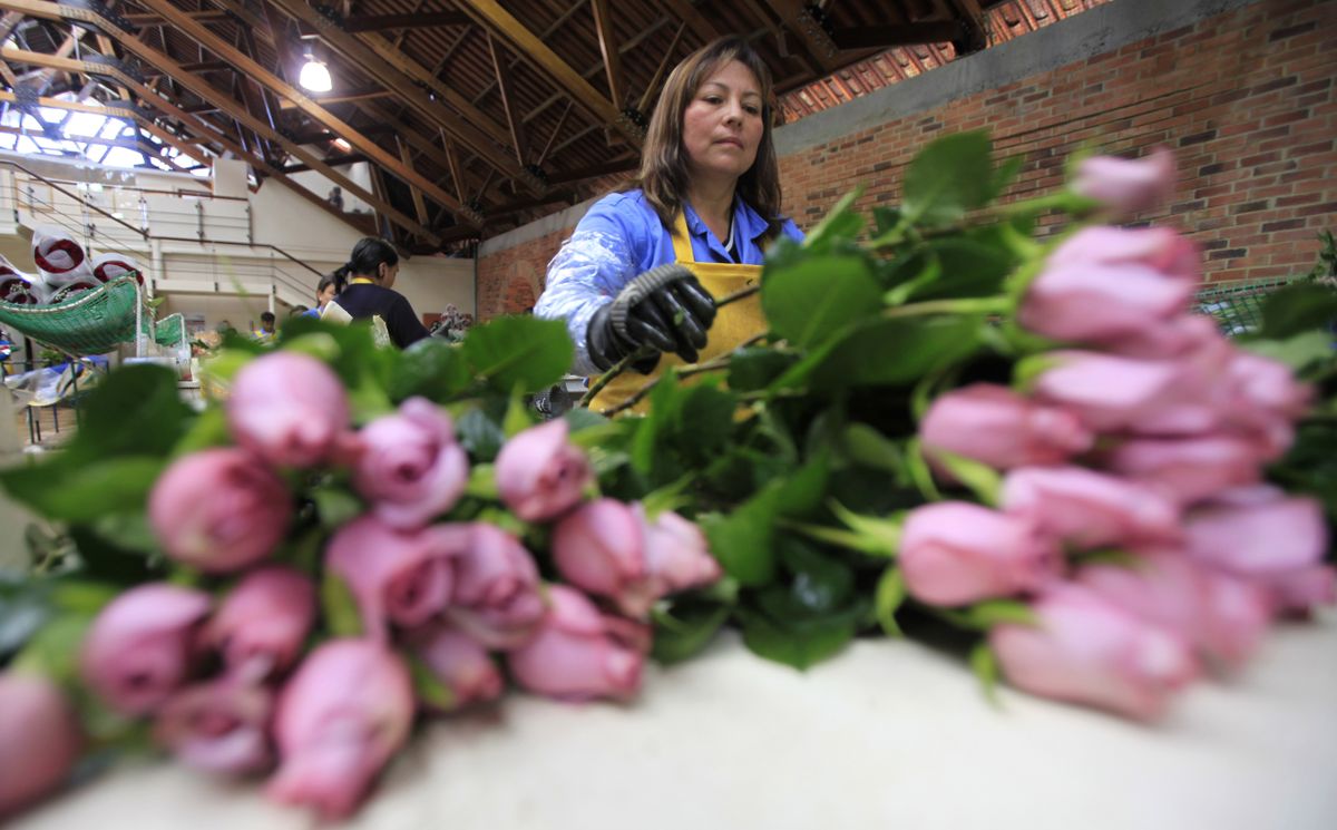 Colombia Valentine's Day Feb. 3, 2012 The SpokesmanReview