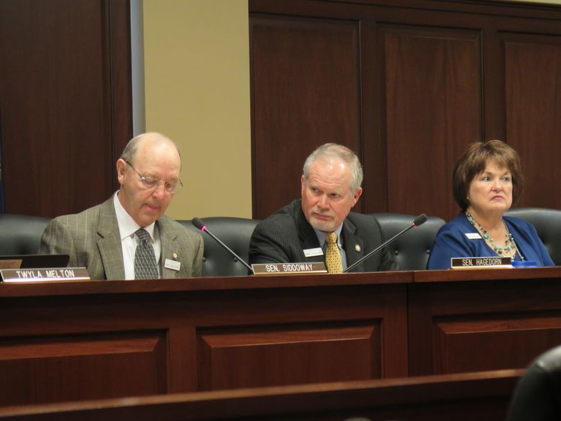 Sen. Marv Hagedorn, R-Meridian, at the Senate State Affairs Committee on Wednesday morning; at left is Chairman Jeff Siddoway, R-Terreton; at right is Sen. Patti Anne Lodge, R-Huston (Betsy Z. Russell)