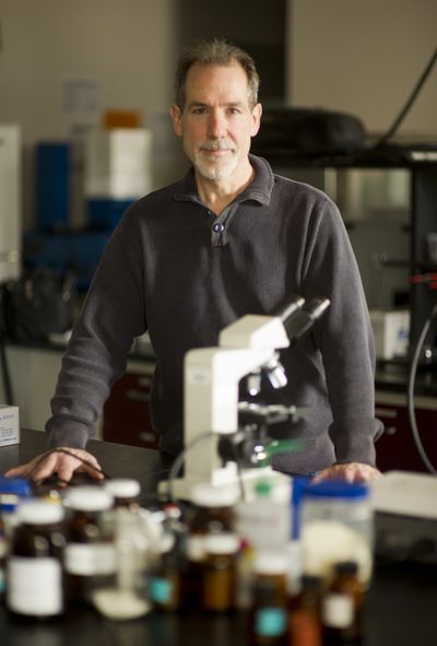 Organic chemist Dave Vachon and his company Iasis Molecular Sciences, which collected about $486,000 in grants from Health Sciences and Services Authority, are developing patented therapies to fight infections, inflammations and tissue loss. (Colin Mulvany)