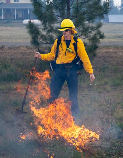 A Spokane Fire Department firefighter from Station 9 helps knock down spot fires started from embers from a fast-moving wildfire along South Assembly Road on June 11. Burn restrictions will begin in Spokane County on Tuesday, July 2, in an effort to prevent wildfires.  (COLIN MULVANY/THE SPOKESMAN-REVIEW)