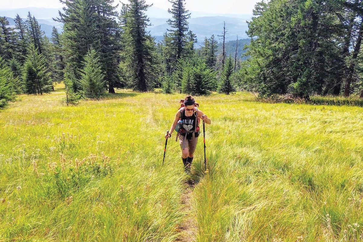 A hiker follows the Mount Kit Carson Trail at Mount Spokane State Park.  (SSR)