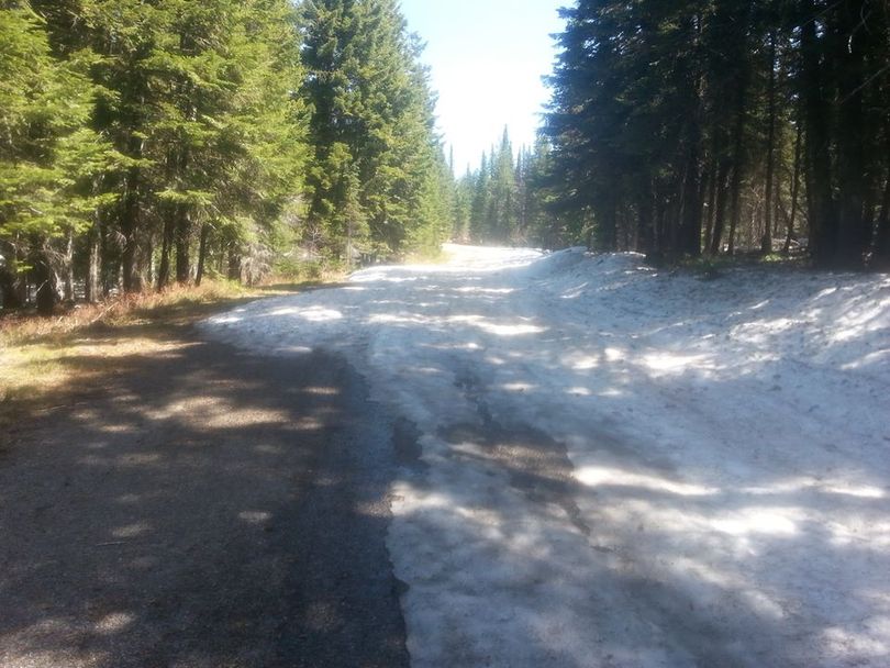 Snow clogs the Mount Spokane Summit Road on May 15, 2014.
 (Warren D. Walker)