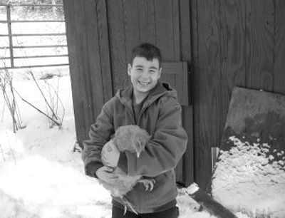
Matthew Everett holds one of his Buff Orfington chickens. His family also raises Rhode Island Red chickens and Scottish Highland cattle on their small farm on the Dartford Prairie. 
 (Shannon Carlson / The Spokesman-Review)