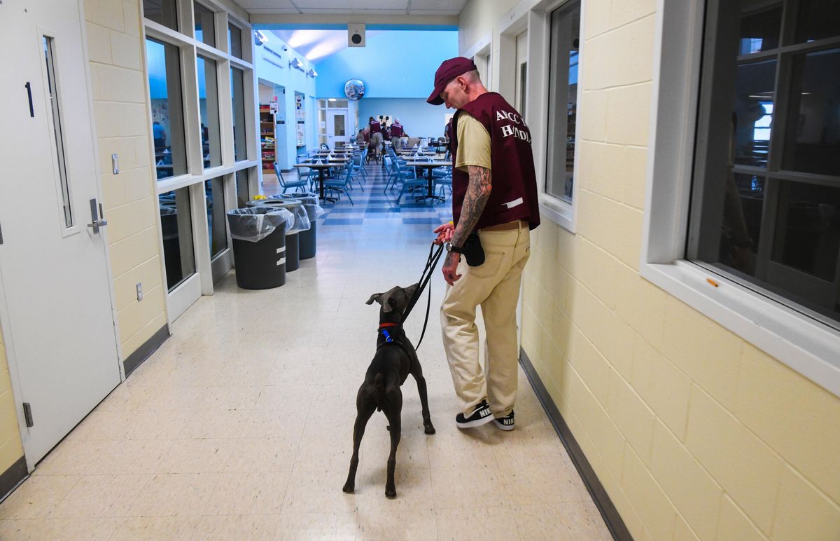 Inmates are training dogs at Airway Heights prison and helping