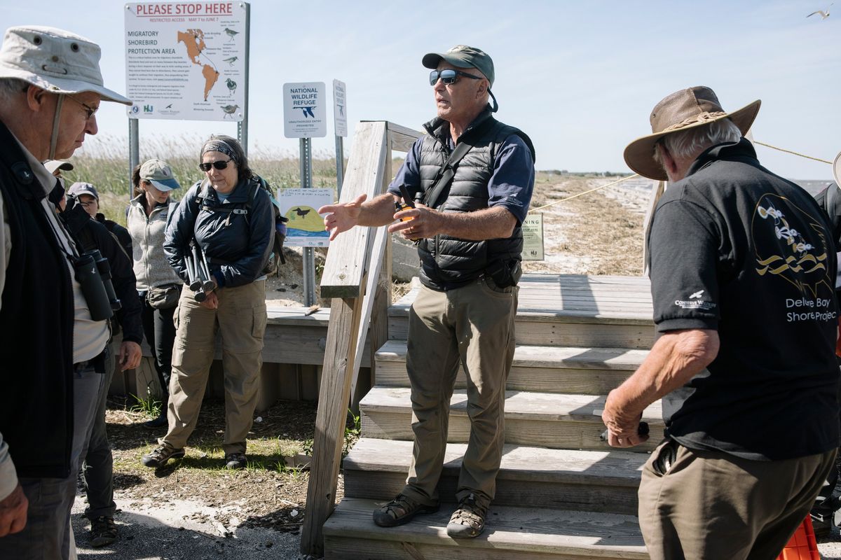 FILE -- Larry Niles, a wildlife biologist, instructs volunteers during an annual day of trapping, counting and tagging migratory shorebirds at Reeds Beach in Cape May Court House, N.J., May 21, 2019. After a decade-long ban, the potential revival of crab harvesting in the Delaware Bay poses a threat to shorebirds, naturalists say. (Michelle Gustafson/The New York Times)  (MICHELLE GUSTAFSON)