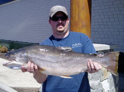“He was my Moby Dick,” said Evan Roda, 28, summarizing his long, deliberate pursuit of this monster state-record tiger trout. PHOTO COURTESY OF CHRIS DONLEY (PHOTO COURTESY OF CHRIS DONLEY / The Spokesman-Review)