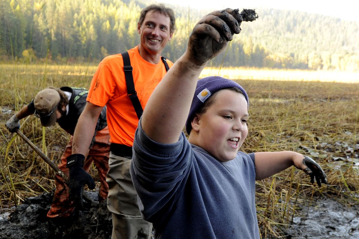 “I found one!” said Ronnie Nelson, a fourth-grader from Harrison Elementary School, as he held up his first water potato during the Coeur d’Alene Tribe water potato celebration at Heyburn State Park on Tuesday. Jon Firehammer, research fisheries biologist for the Coeur d’Alene Tribe, helped in the hunt for potatoes. (Kathy Plonka)