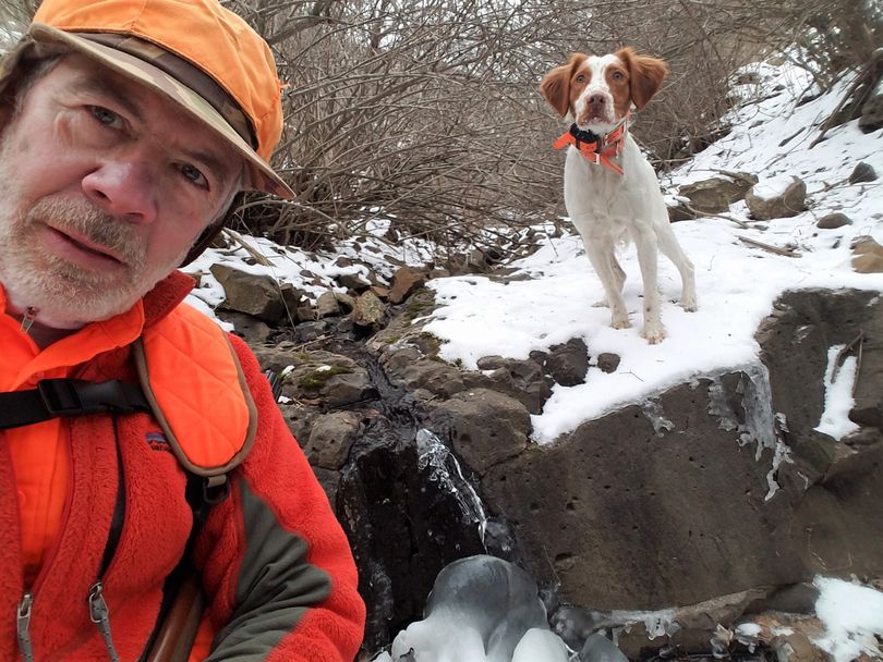 Rich Landers and his Brittany pup, Ranger, pause by a mostly frozen creek as they hunt chukars in January in the Snake River canyon. (Rich Landers)