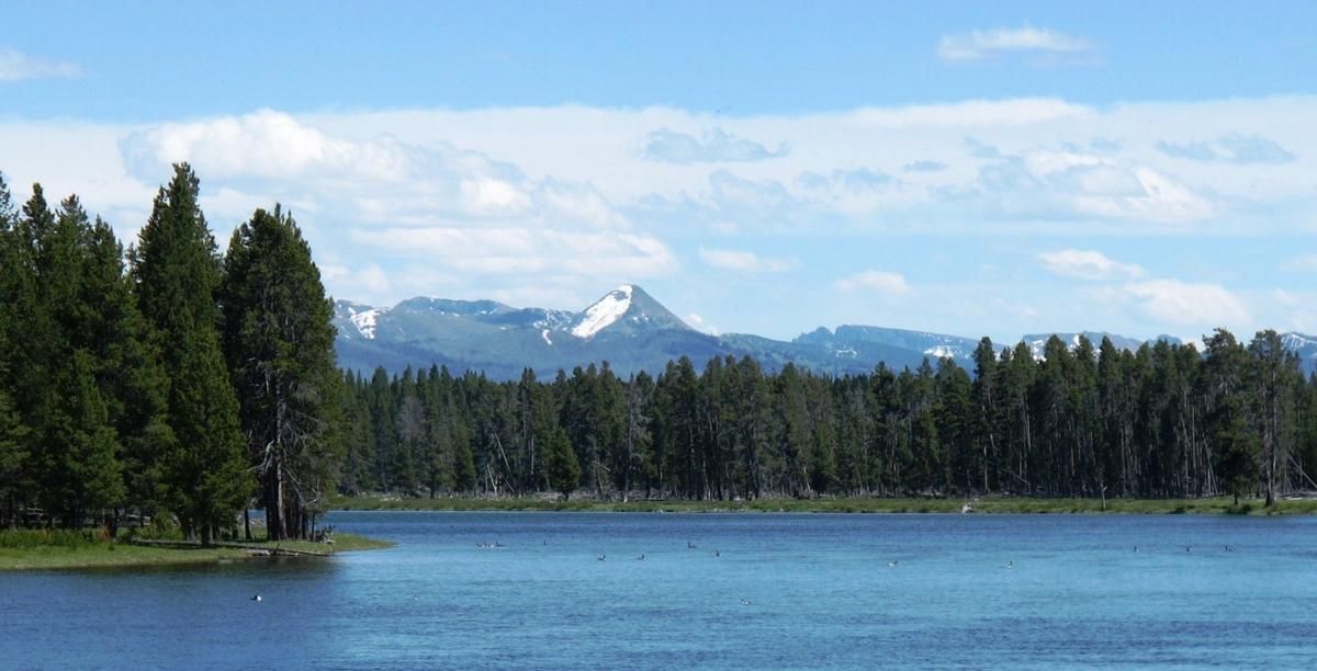 Finding a campsite in Yellowstone National Park during the height of the summer season can be impossible fro travelers who haven’t reserved one ahead of time. Surrounding forest lands provide another option. (Brett French / The Billings Gazette)