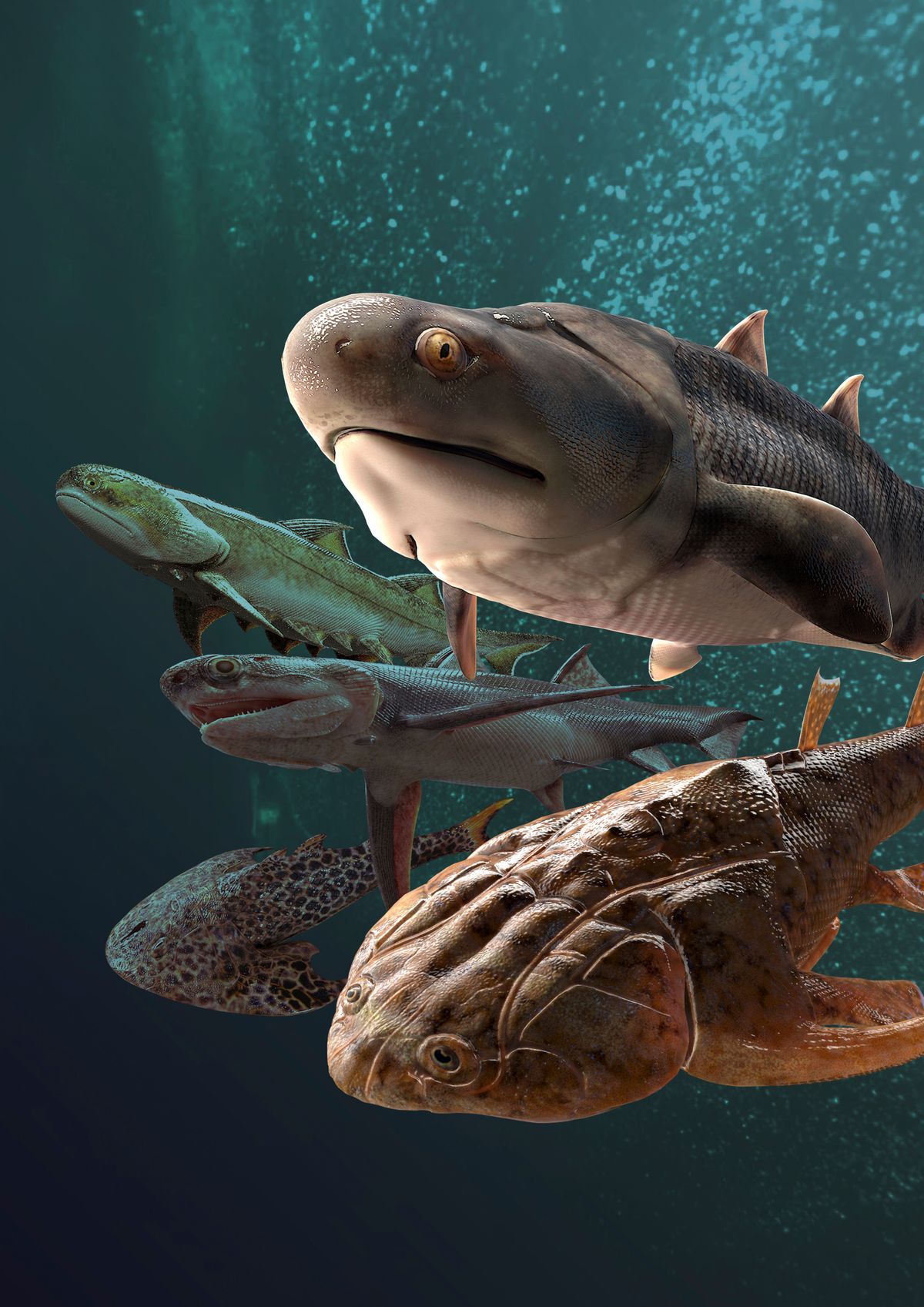 An undated illustration provided by Heming Zhang shows from top right: Shenacanthus vermiformis, Xiushanosteus mirabilis, Tujiaaspis vividus, Qianodus duplicis and Fanjingshania renovata, five newly discovered jawed fishes. In two deposits in China, paleontologists dug up remains that suggest jawed fish are tens of millions of years older than previously known. (Heming Zhang via The New York Times) -- NO SALES; FOR EDITORIAL USE ONLY WITH NYT STORY SLUGGED SCI JAWED FISH FOSSILS BY ASHER ELBEIN FOR SEPT. 28, 2022. ALL OTHER USE PROHIBITED. --  (HEMING ZHANG)