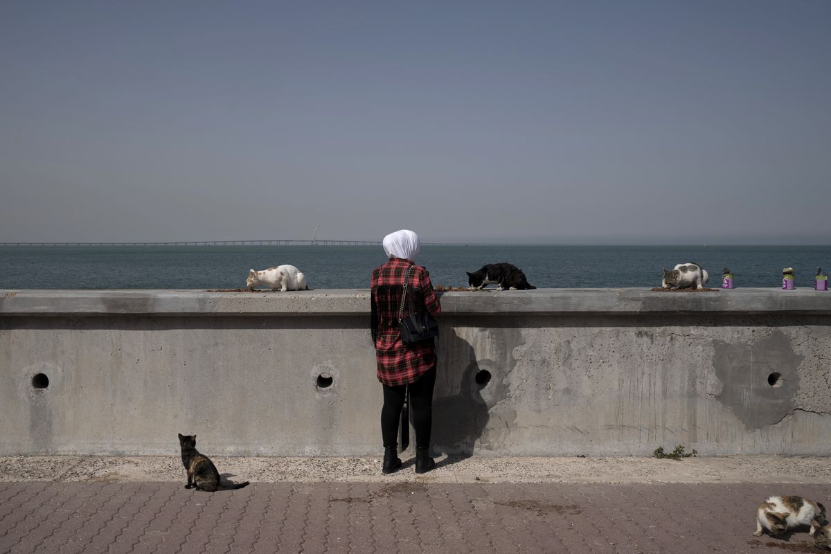 A woman feeds stray cats at the marina in Kuwait City, Feb. 11, 2022. Last summer, birds dropped dead from the sky and shellfish baked to death in the bay. Yet Kuwait stayed silent as the rest of the region’s wealthy petrostates joined a chorus of nations setting climate goals ahead of last fall’s U.N. climate summit in Glasgow.  (Maya Alleruzzo)