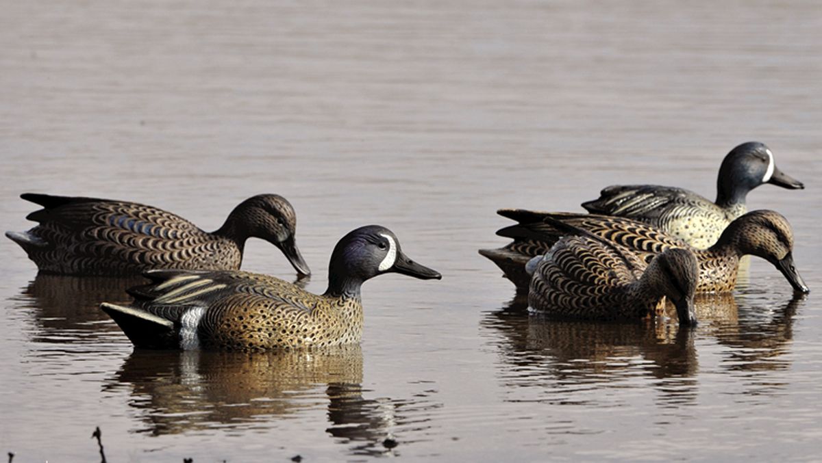 Realism is the rage among hunters, from their modern camouflage to decoys, such as these “high definition” realistic models.